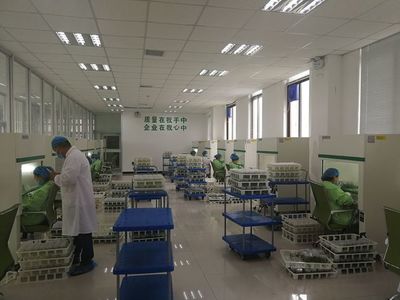 夏莊、賀店工作隊赴蘭考考察構樹產業(yè)扶貧項目 技術推廣助力鄉(xiāng)村振興